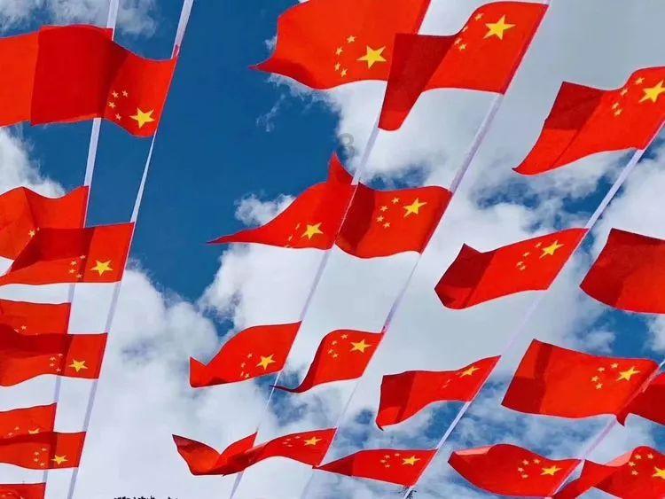 五彩鹦鹉救援