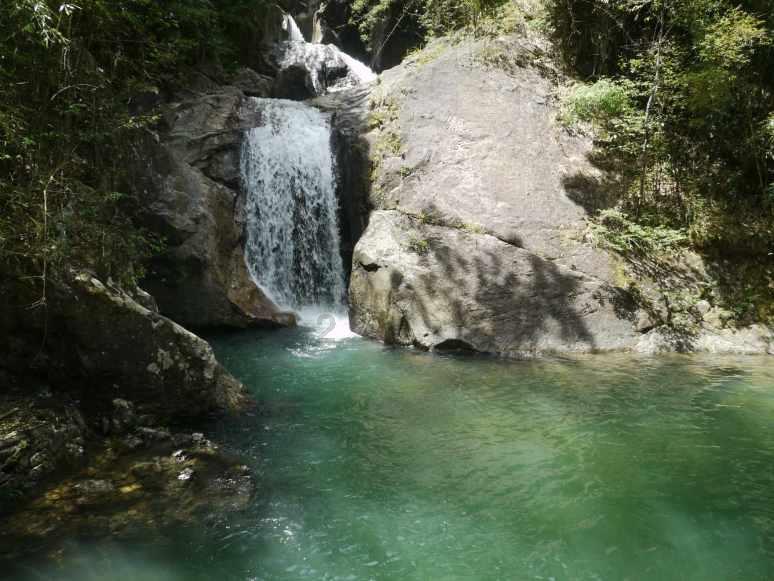 救援深海动物